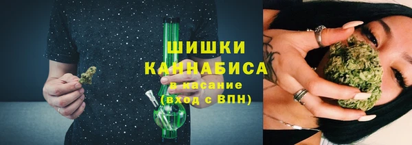 твердый Магас