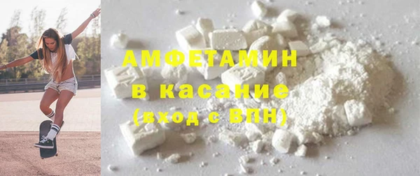 индика Богданович