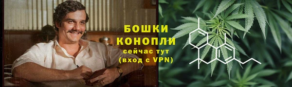 дмт Богородицк