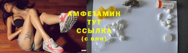твердый Магас