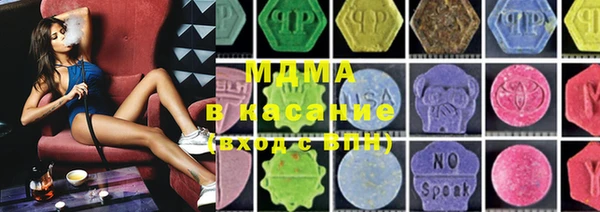 индика Богданович