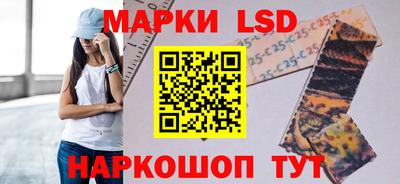 дмт Камышлов