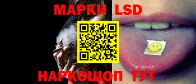 дмт Камышлов