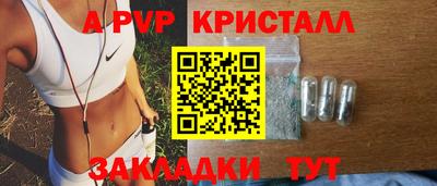 дмт Камышлов