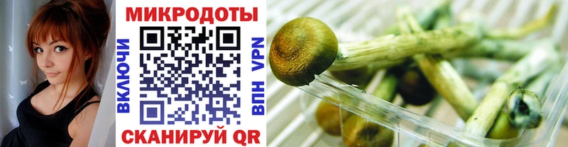 Псилоцибиновые грибы прущие грибы  Симферополь 