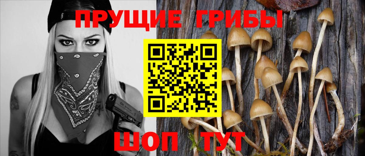 Галлюциногенные грибы прущие грибы  Симферополь 