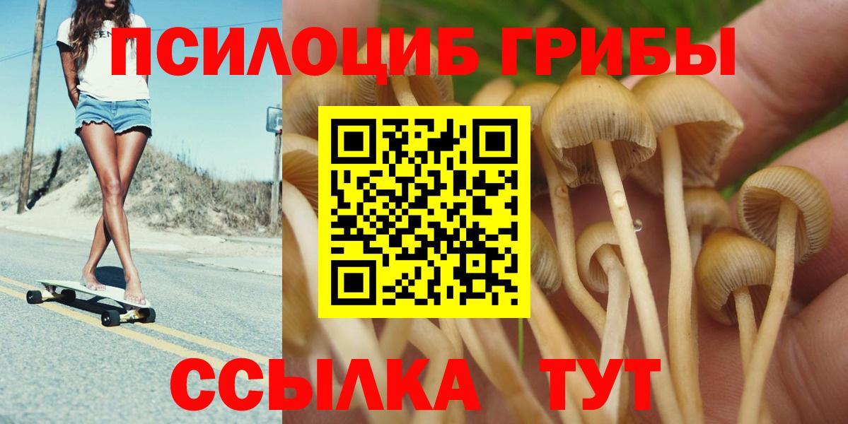 Псилоцибиновые грибы Cubensis Симферополь