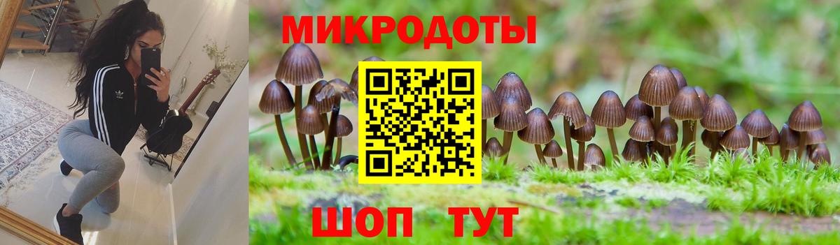 Симферополь  Галлюциногенные грибы мухоморы  Вход с VPN 